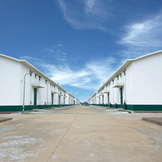 ���냦���B�Ƹ�ֱ�َ�