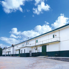 ���냦��Z����ֱ�َ�