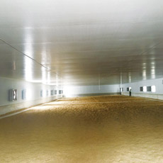 ���냦��Z�ϲ�ֱ�َ�