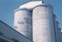 ���냦(ch��)��Z��h(hu��n)ֱ�َ�