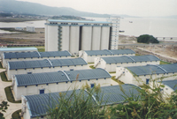 ���냦(ch��)��Z��h(hu��n)ֱ�َ�